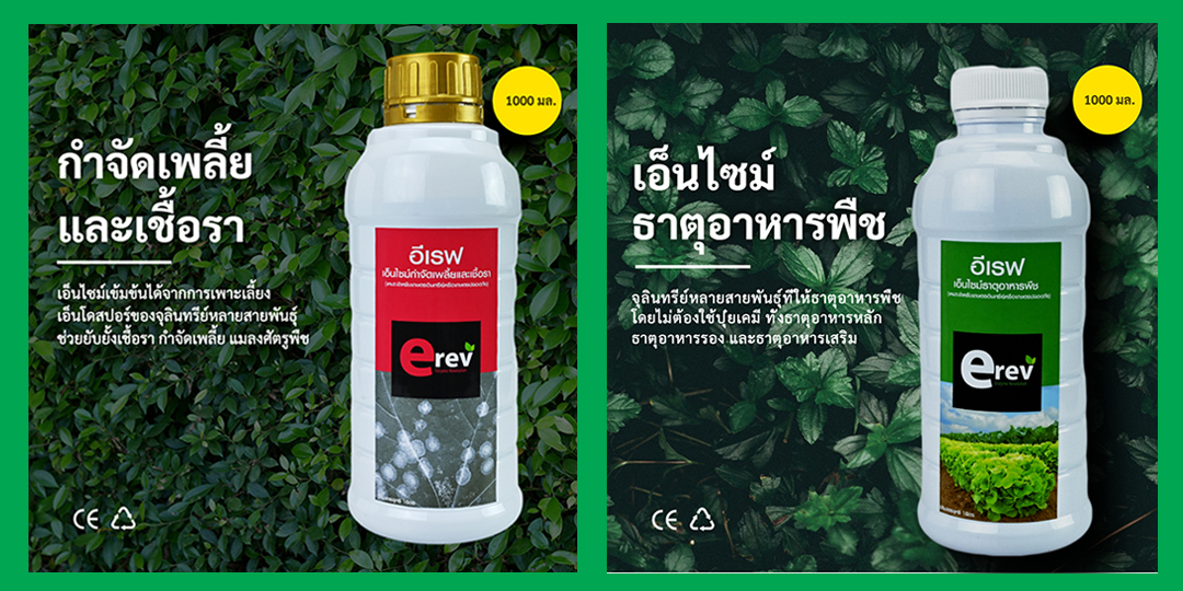 อีเรฟ