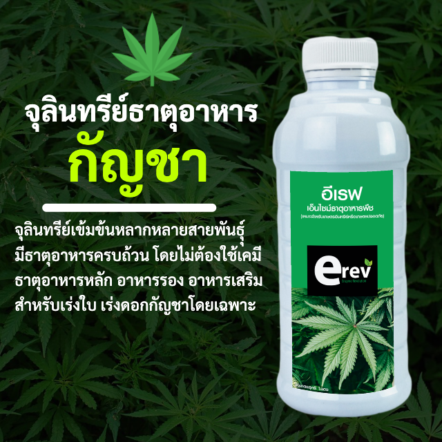 ธาตุอาหารกัญชา